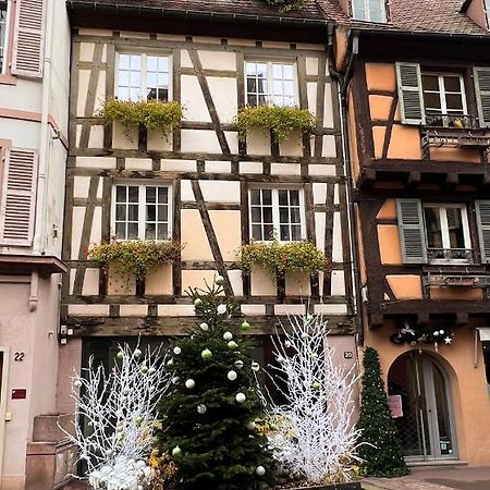 Les Suites Du Cygne Colmar Eksteriør bilde