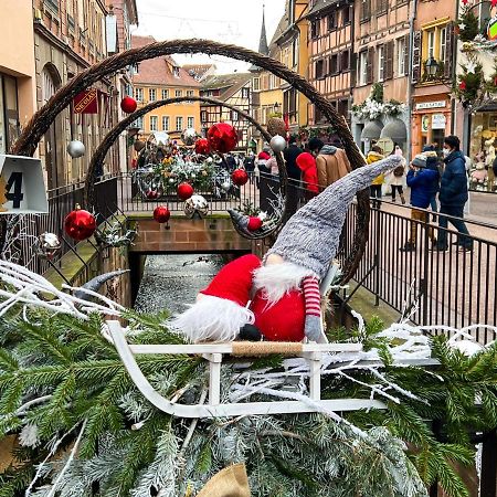 Les Suites Du Cygne Colmar Eksteriør bilde