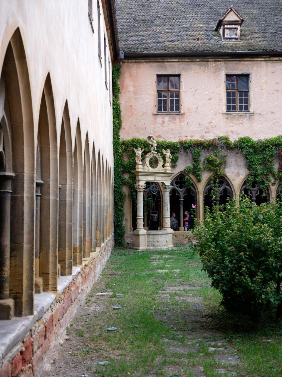 Les Suites Du Cygne Colmar Eksteriør bilde