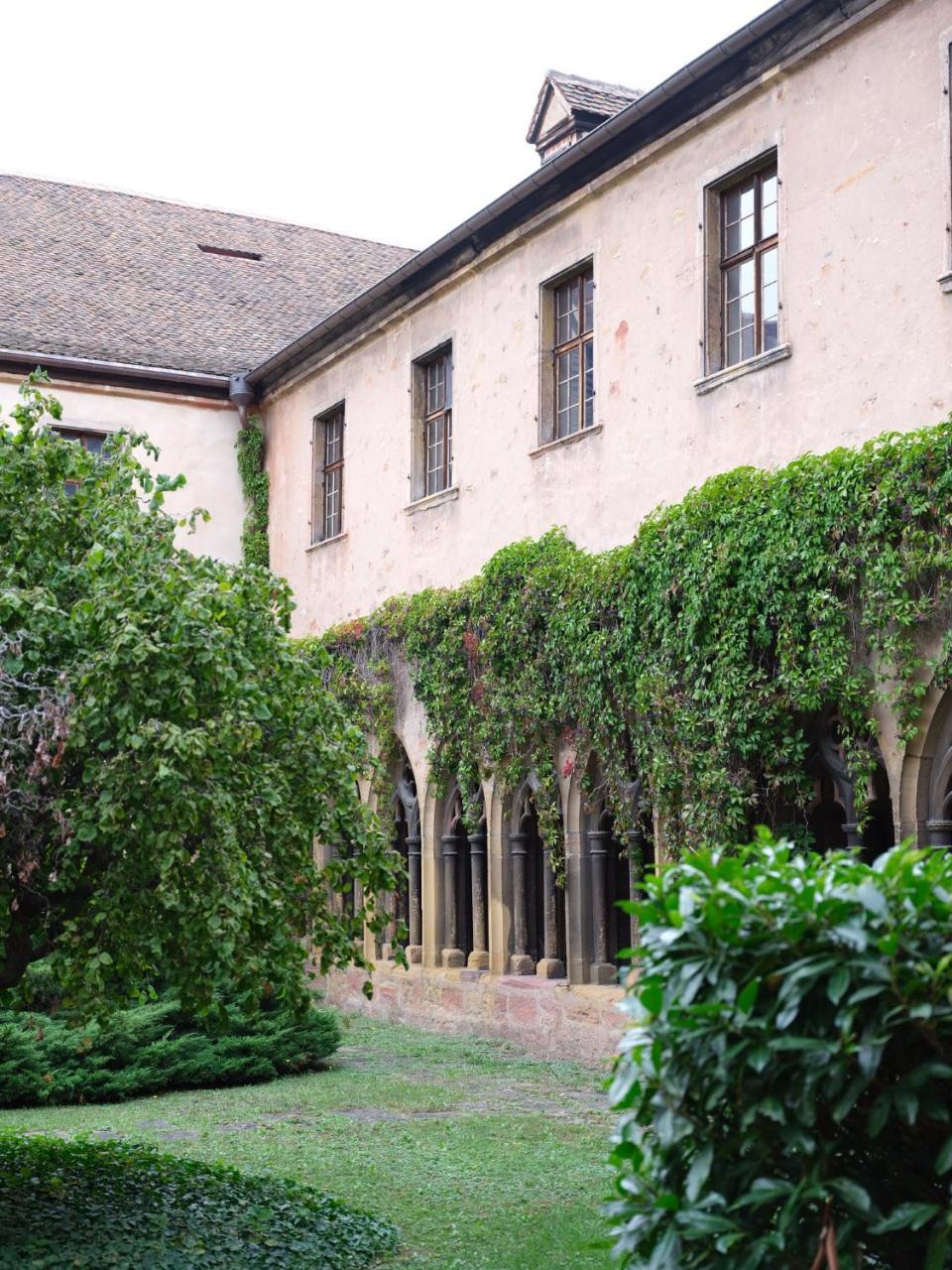 Les Suites Du Cygne Colmar Eksteriør bilde